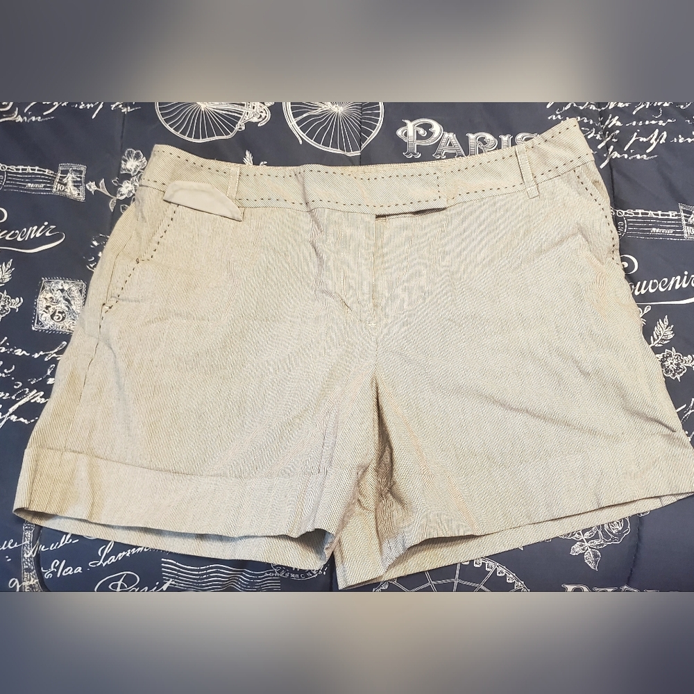 LOFT Women's Stripe Shorts